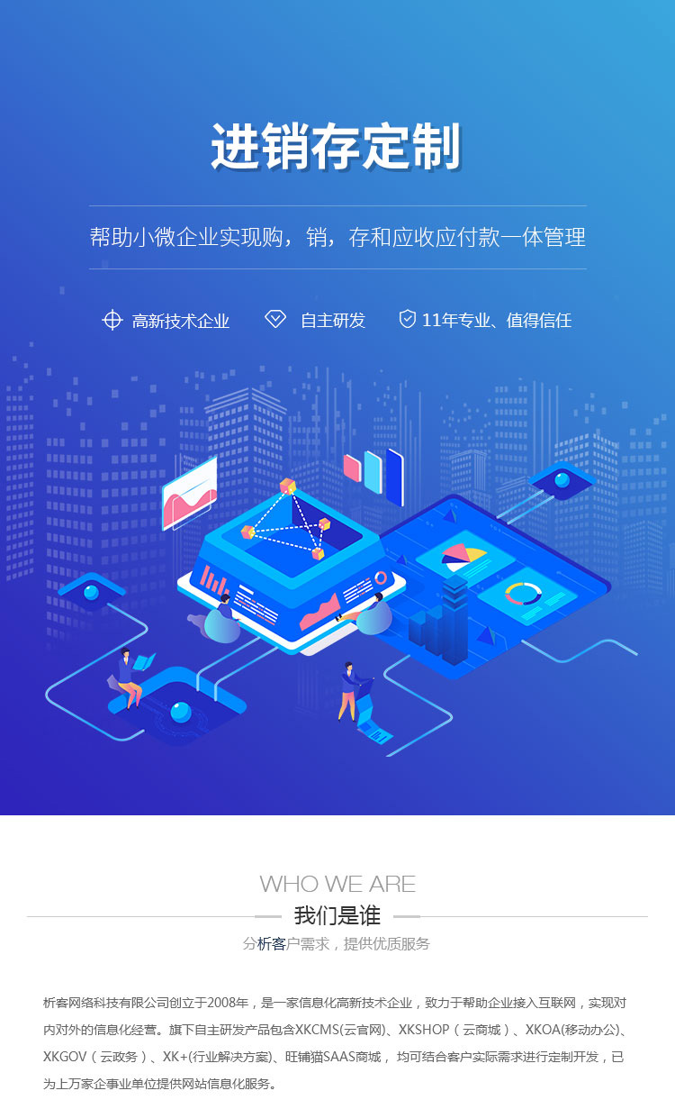进销存系统开发：企业数字化转型的新引擎